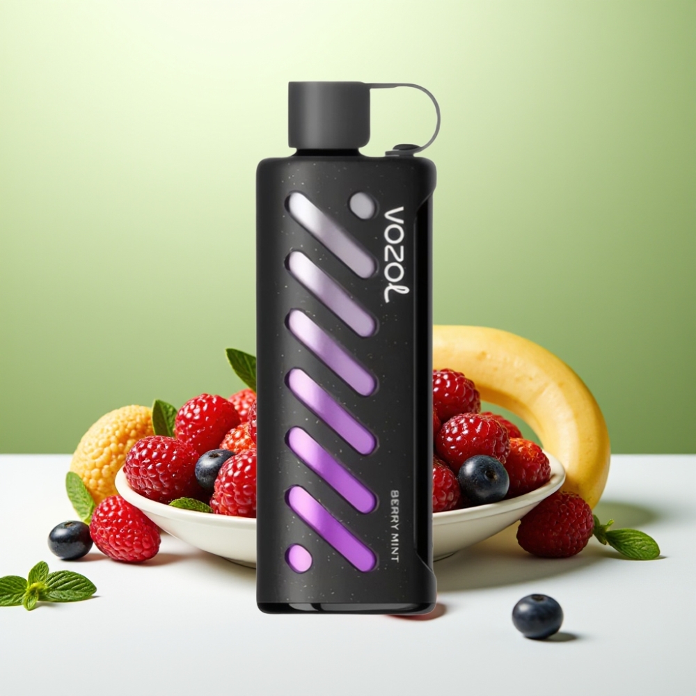 Vozol Gear Shisha 25000 نفخة تبخير نعناع التوت مع شريحة S.i.L.C وتقنية Dual Mesh