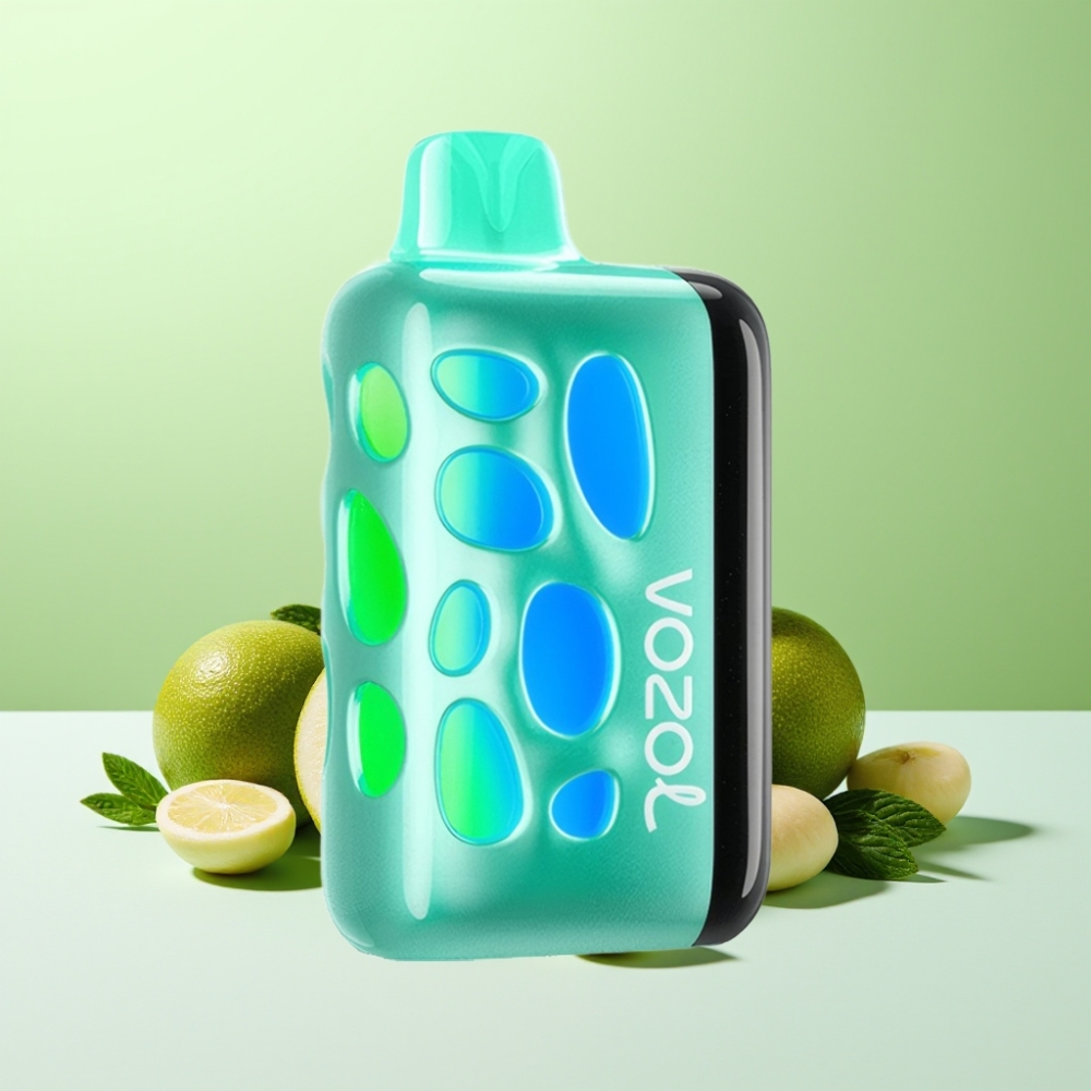 VOZOL RAVE 40000 فاب تبريد بالنعناع مع شحن 80% في 20 دقيقة