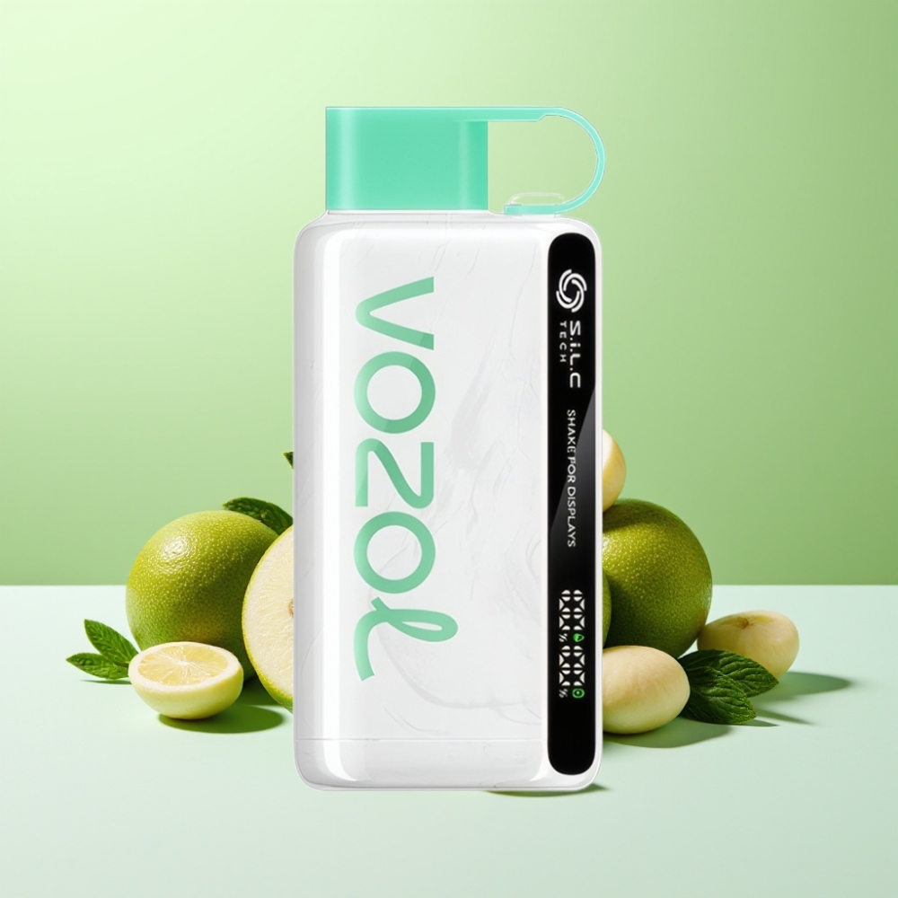 VOZOL STAR 9000/12000 فابل واحد بنكهة النعناع المنعش مع شاشة اهتزاز وشحن أسرع