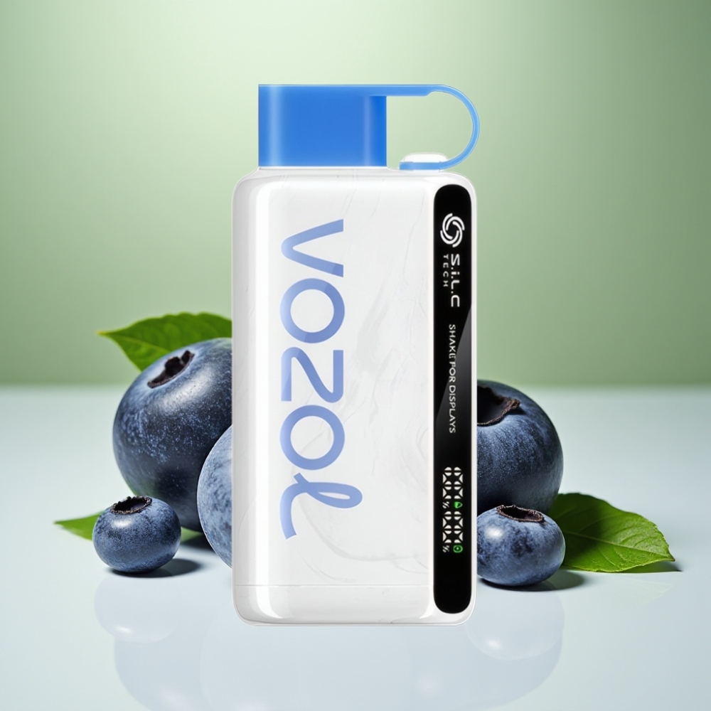 VOZOL STAR 9000/1200 سحابة التوت الأزرق مع شاشة اهتزاز وتقنية S.i.L.C
